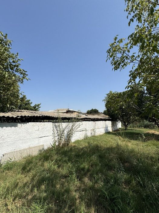 Ферма 21 соток. Янгиюль