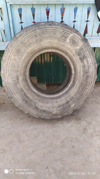 Молларга кесиб ем идиш учун ишлатса булади