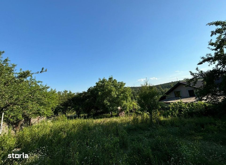 Teren intravilan Valea Adanca , 2540 metri Cod:155291