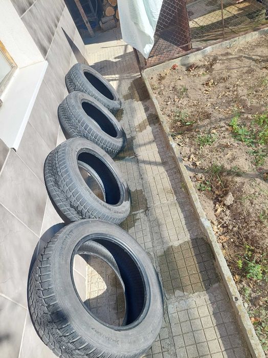 Зимни гуми Diplomat 205 60 R16  96H