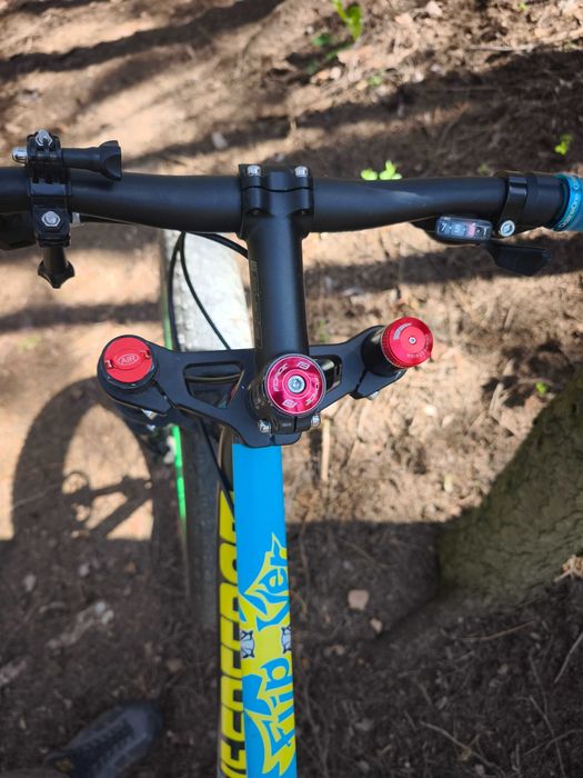Fat bike freedom