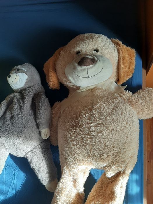 Plusuri mari de vanzare 1