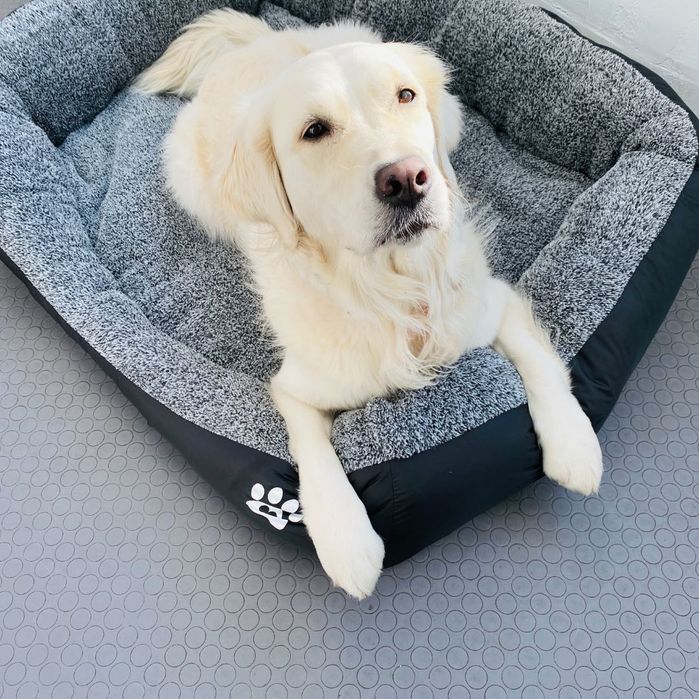 Легло за голямо куче с лапичка ХХЛ черен