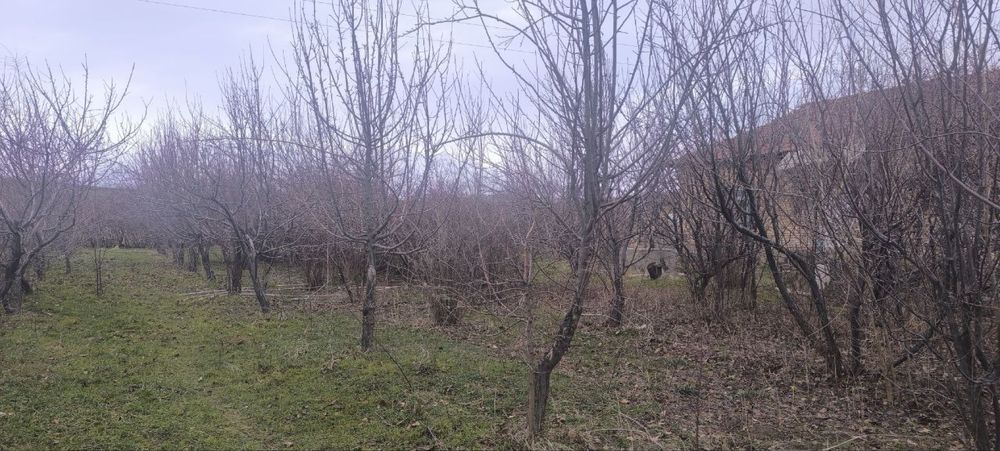 Дача учун  ховли