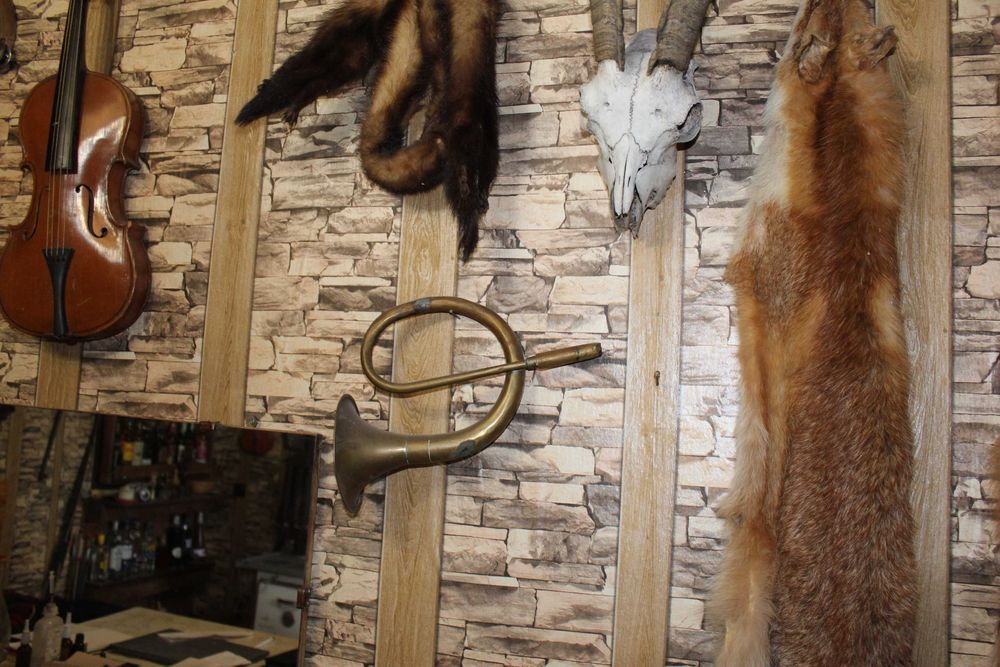 Кожа на лисица - естествена