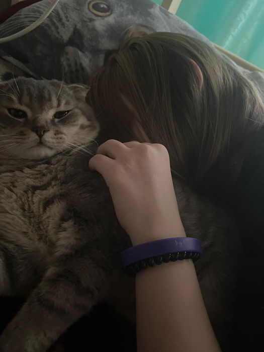 Отдам котика в добрые руки