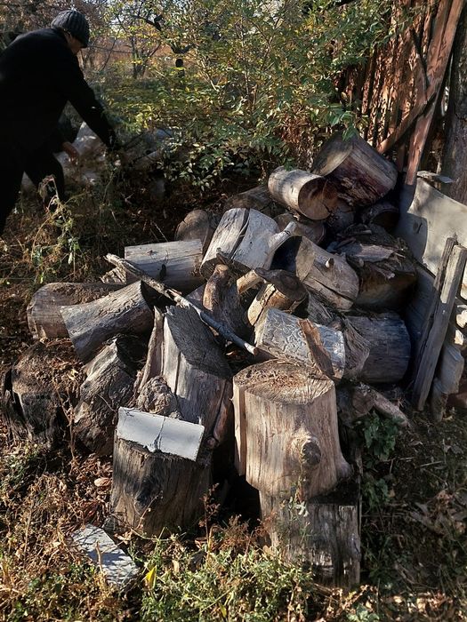 Продам дрова сухие карагач