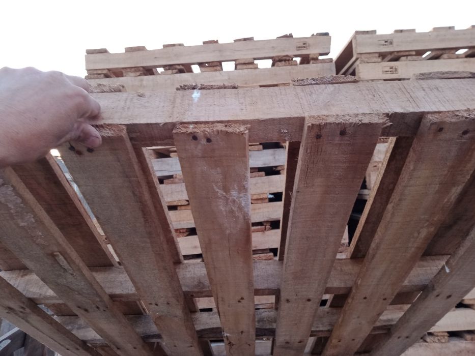 Ассалаумағалейкум