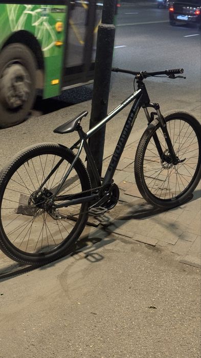 Bergamont revox 2