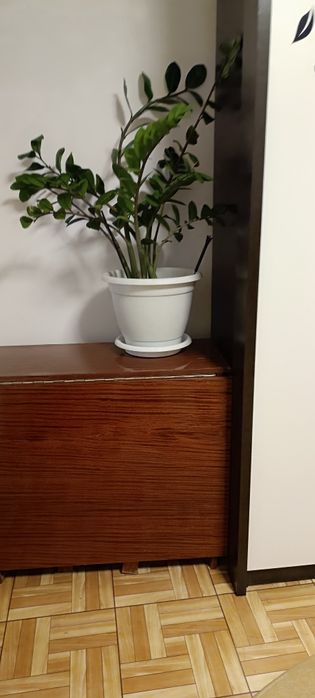 Продам тумба стол 3 шт