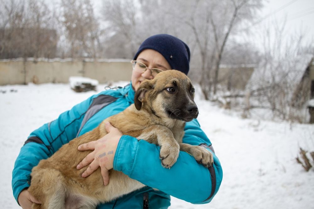 Щенки  ждут добрые руки