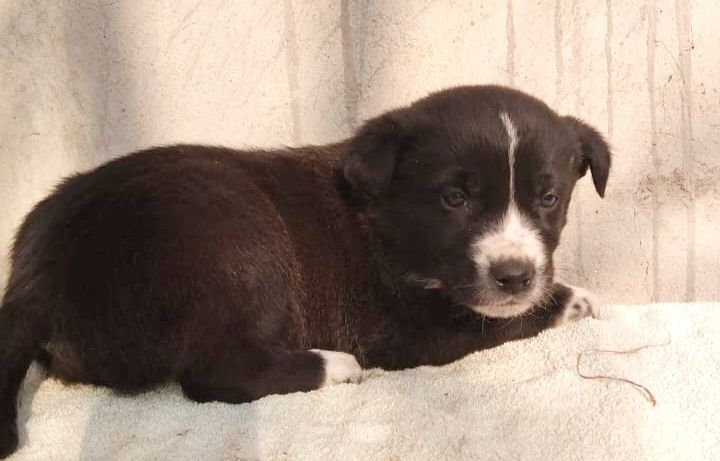 Не проходите мимо подарите дом бездомным