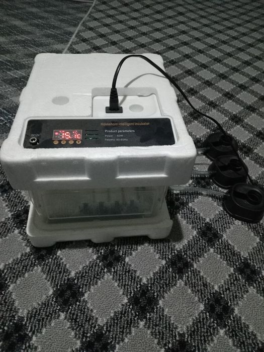 Сотилади  инкубатор
