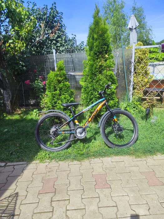Bicicleta Sonic Polar