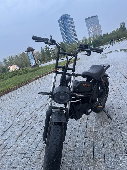 ЭлектроВелосипед Geopard Harley Y9 Ebike