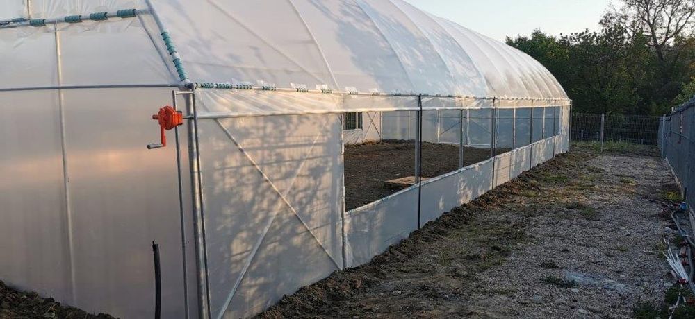 Solarii Rezistente  Baleni Sârbi