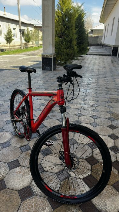 Белик, Велосапед, велосипед, VeloBike. Bike, velik, velosiped