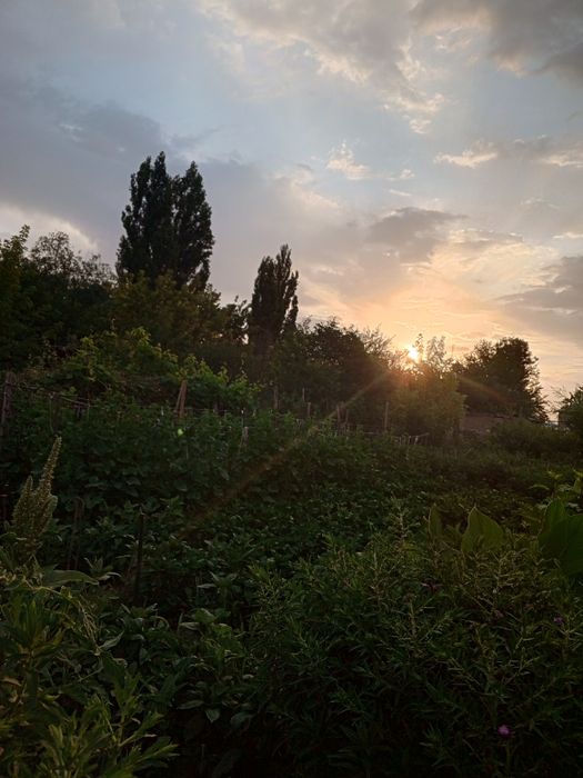 Уютный дом 7 соток Каратау