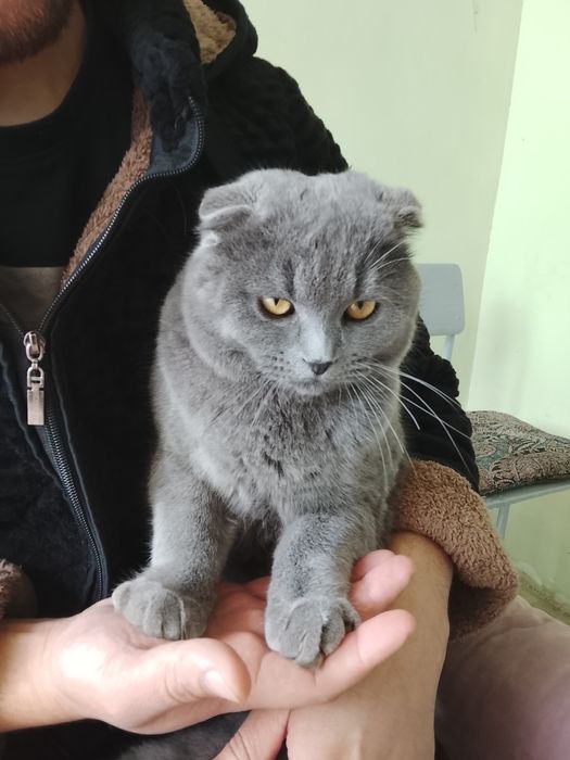 Srochna sotiladi erkak