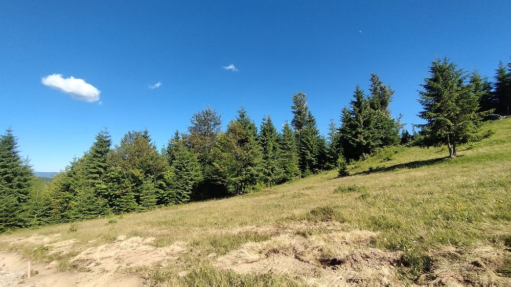 Teren Tihuța / Piatra Fântânele jud BN 1.400 Euro/ar