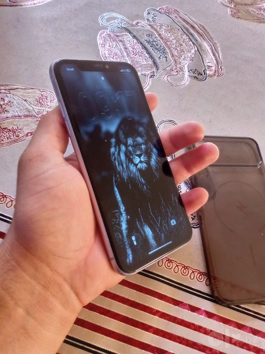 Iphone 11 arzon narxda