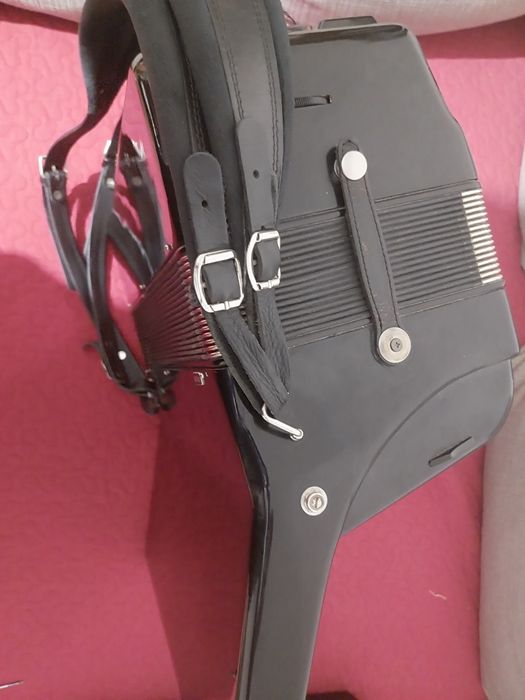 Acordeon Royal Standard 96 basi