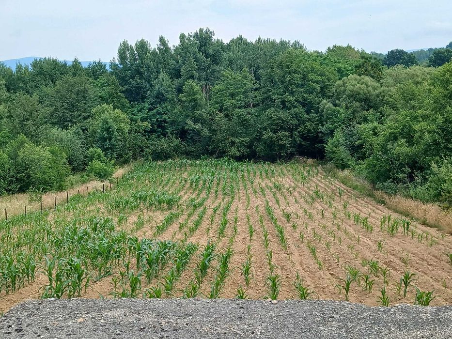 Teren de vânzare