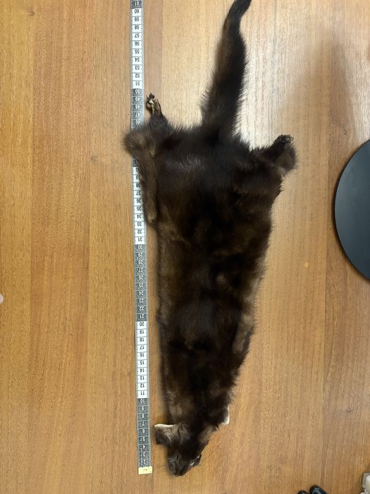 Шкурки норки новые