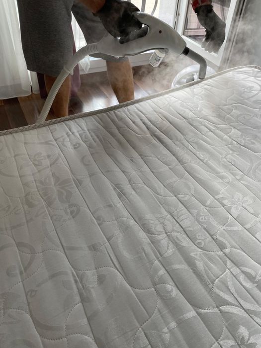 Inchiriere aparat impotriva plosnitelor Polti Cimex