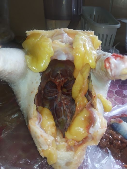 Сатылады продаётся