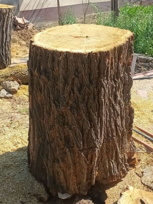 Goʻsht toʻnka sotiladi. Sifatli maxsulot kam qoldi ulgurib qoling