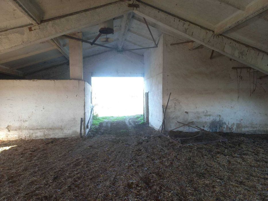 Продава се Склад в Добрич, Добротица - Албенска - 1100 кв.м за 56 €/кв.м - Снимка #3