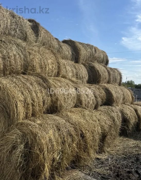 Продаётся дом с большим участком