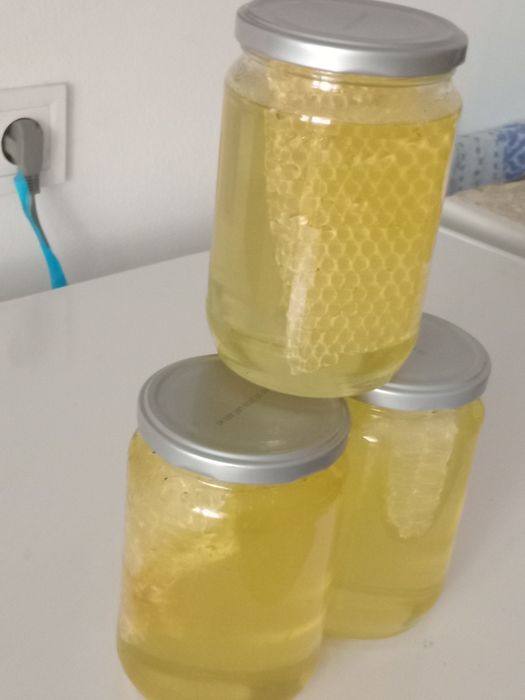 Vand miere de salcam si rapita