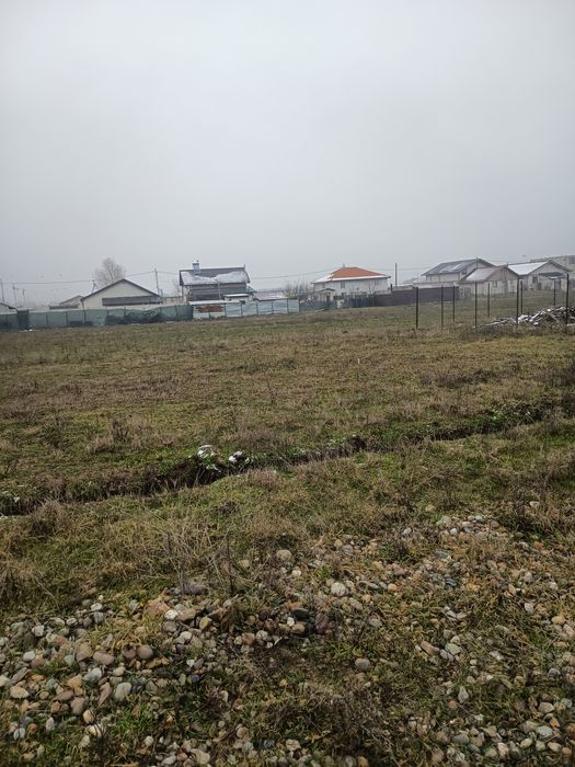 Teren Simian  zona Avicola