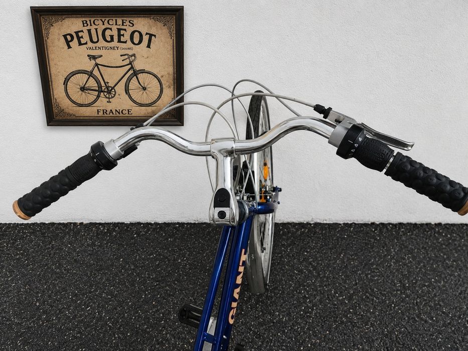 Bicicleta dama Giant lady vintage Alu