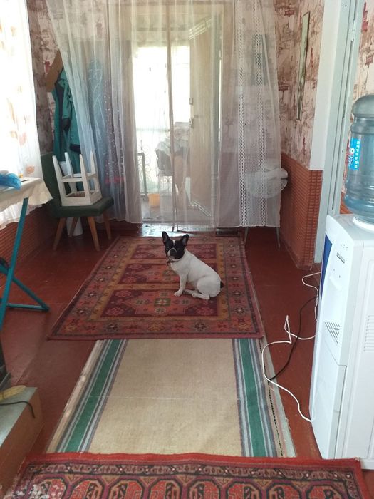 Срочно продается дача с правой стороны от Таш.Моря