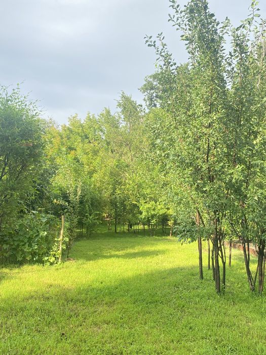 Продам дом в Балпык би
