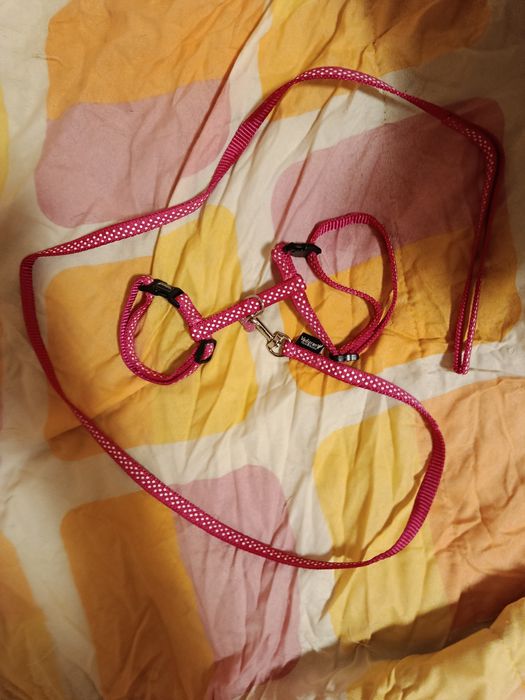 Нагръдник за котка