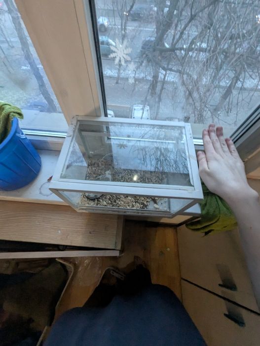 Продам террариум