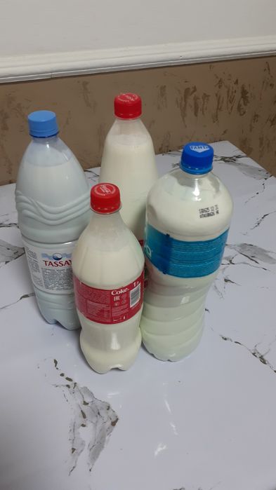 Домашнее молоко ( сиыр дың суті)