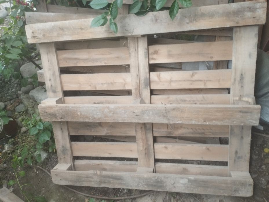 Паддоны на вариант