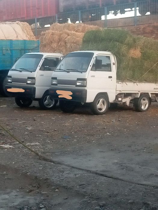 Дагал хашак беда самон бор