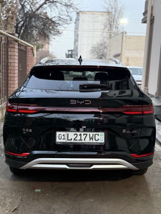 Byd Champion 2025 Restayling