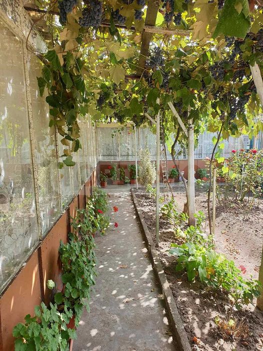 Продава се Къща в с. Змеево, Област Добрич - 109 кв.м за 358 €/кв.м - Снимка #11