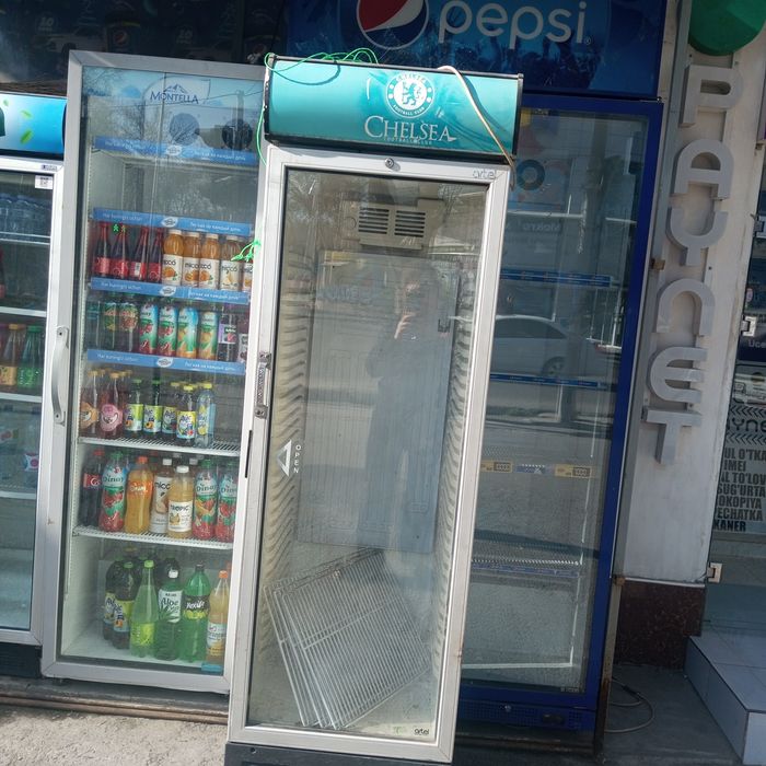 Artel hladelnik sotiladi