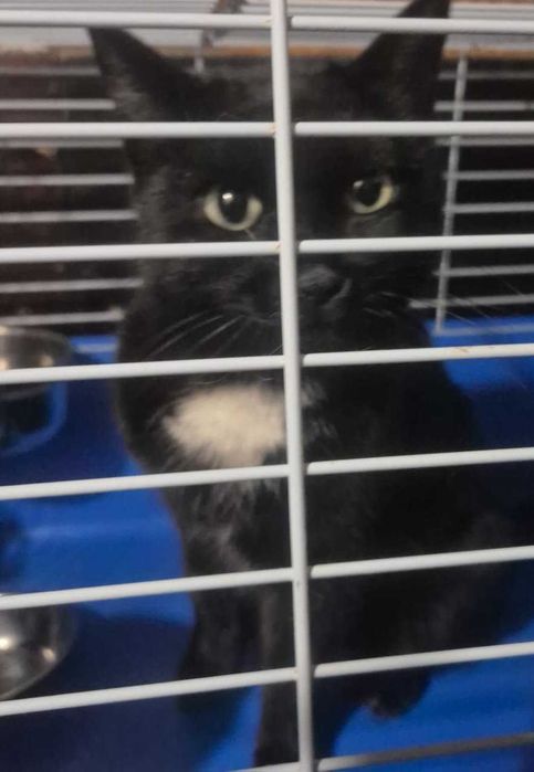 По дороге к счастью - девочка Юша