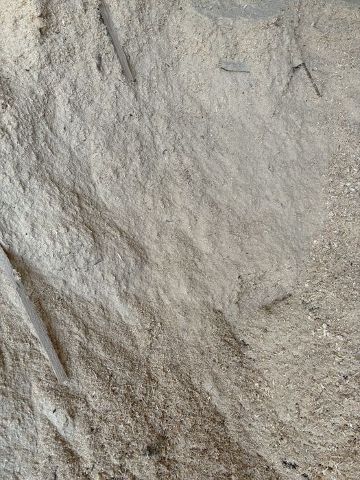 Peleti amestec rasinose cu fag