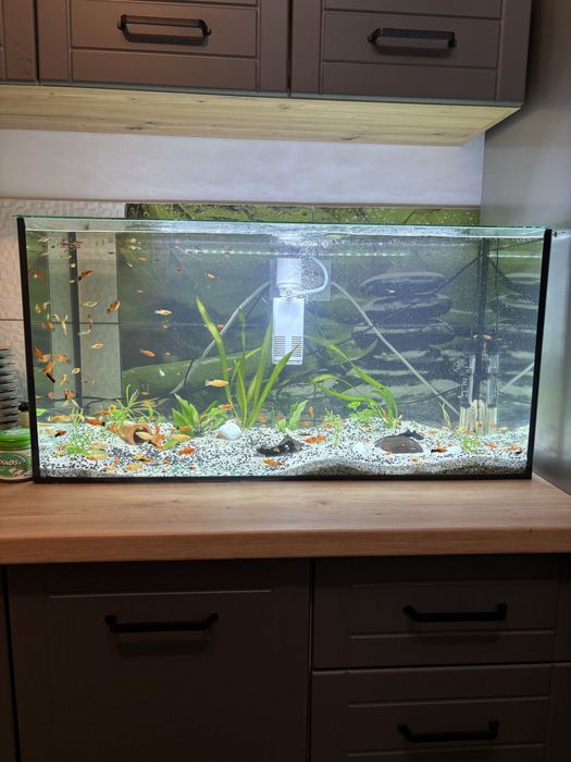 Vand Acvariu de 120 Litri