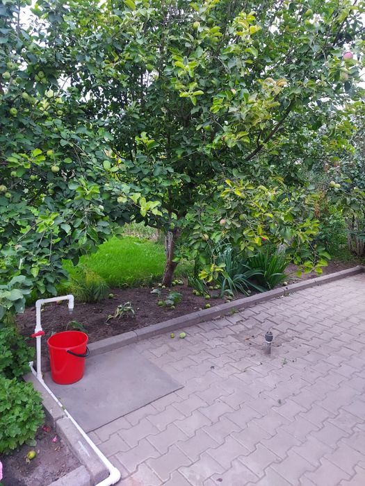 Продам дачу район Келешек